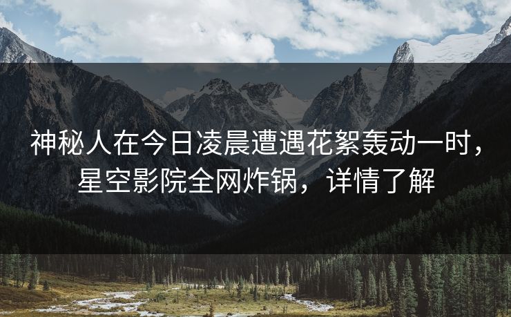 神秘人在今日凌晨遭遇花絮轰动一时，星空影院全网炸锅，详情了解
